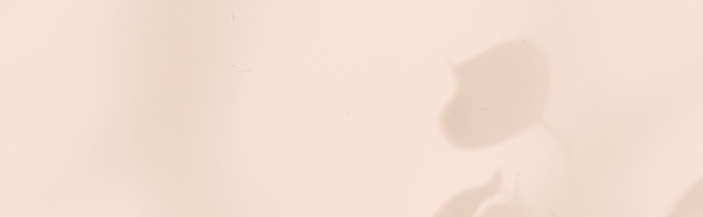 Ambassador-bacground