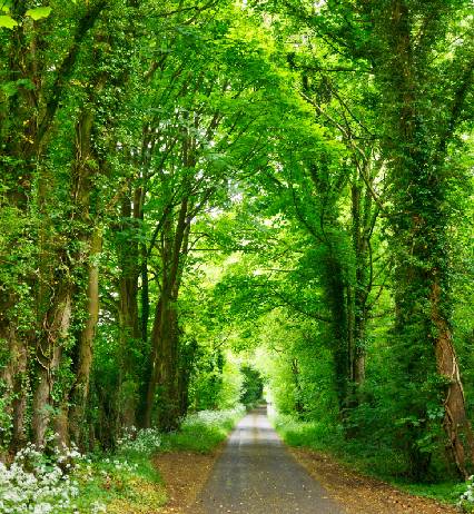 studio-dekorasyon-vngzm4P2BTs-unsplash-1