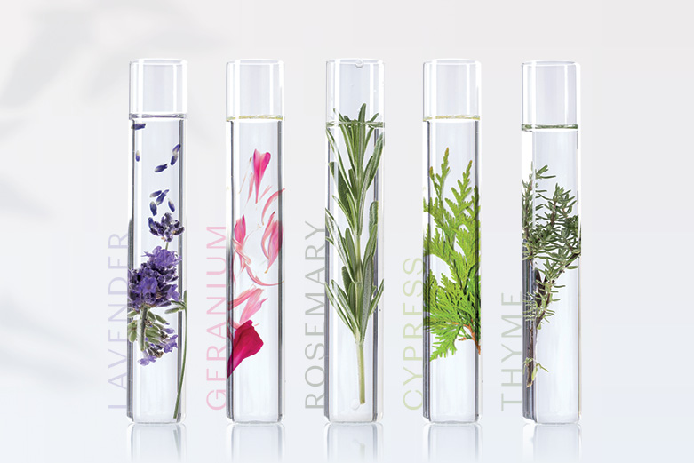 B2B_OurBrand_MobileBanner_375x250-2