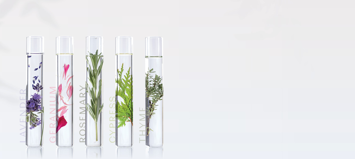 B2B_OurBrand_QuintessenceBanner_1440x644