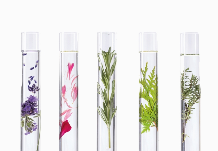 Visuel_Quintessence_Horizontal2